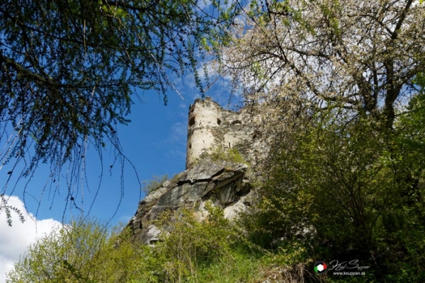 Ruine Steinschloss