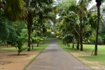 Königlicher Botanischer Garten Kandy