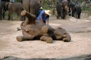 Elefantencamp028