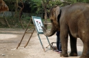 Elefant beim Malen